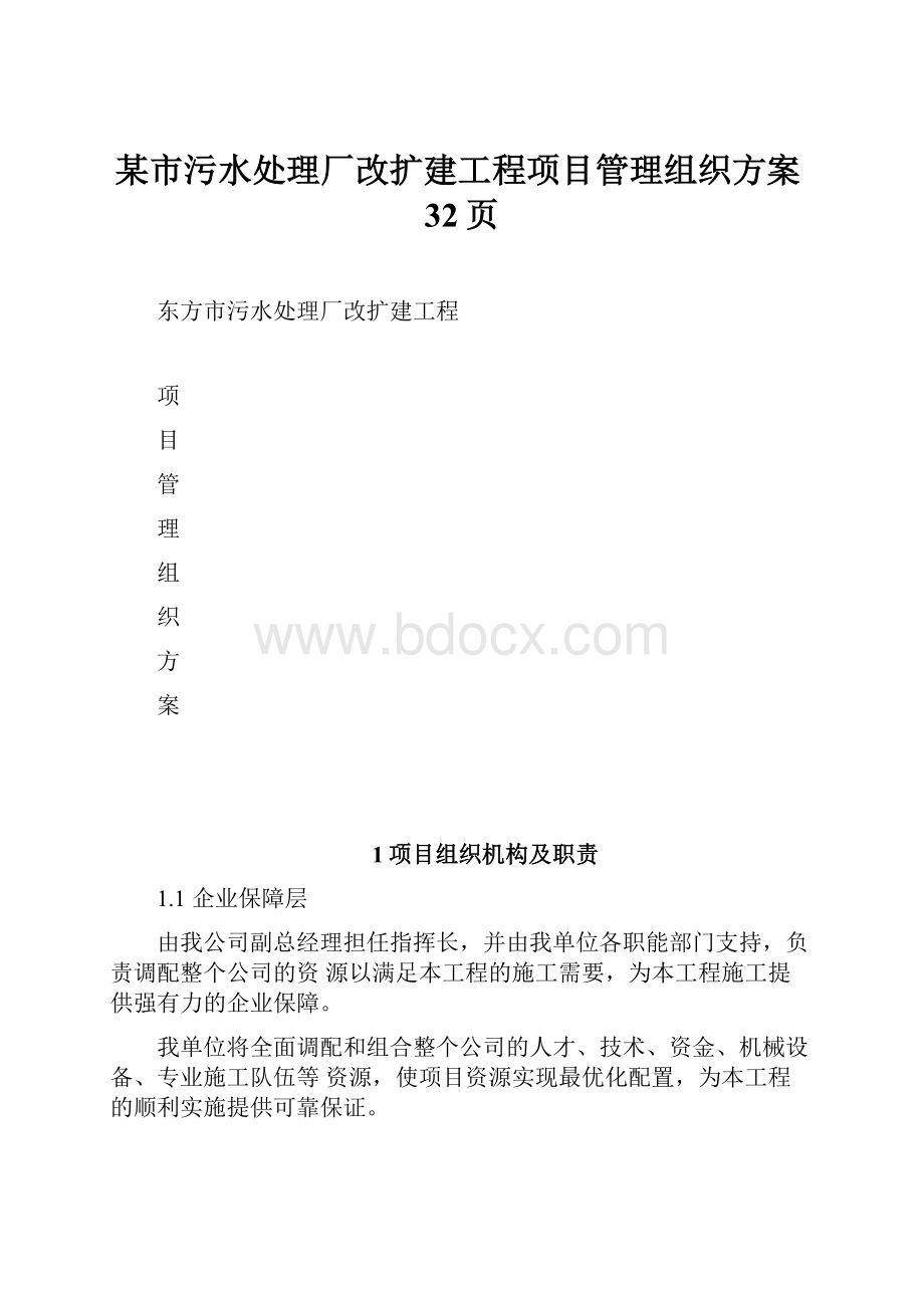 某市污水处理厂改扩建工程项目管理组织方案32页.docx