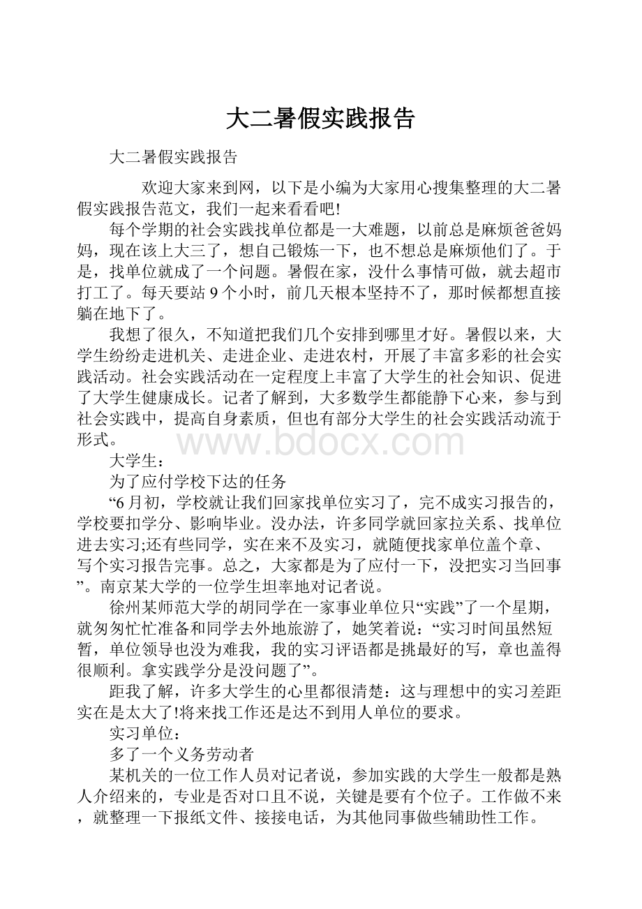 大二暑假实践报告.docx