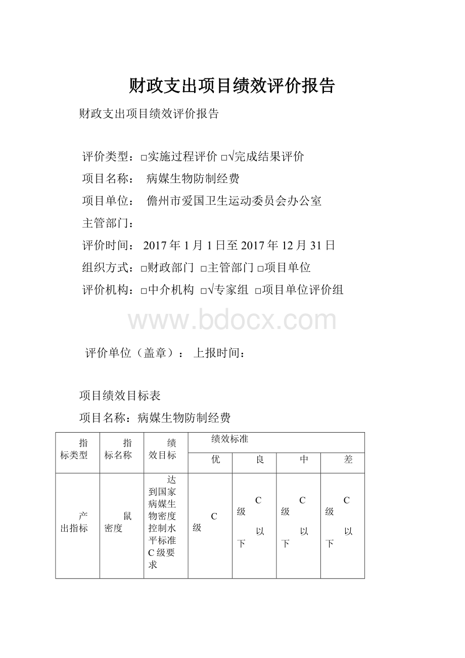 财政支出项目绩效评价报告.docx