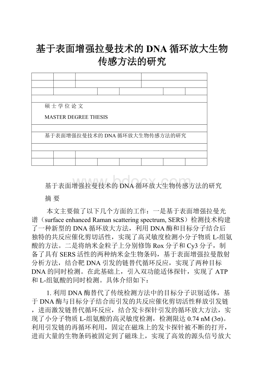 基于表面增强拉曼技术的DNA循环放大生物传感方法的研究.docx