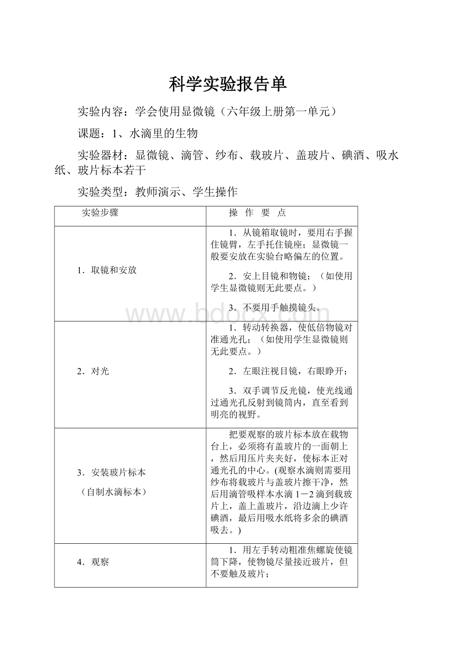 科学实验报告单.docx