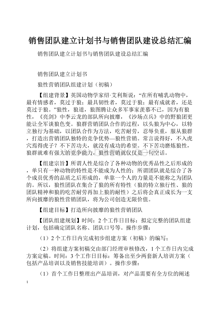 销售团队建立计划书与销售团队建设总结汇编.docx