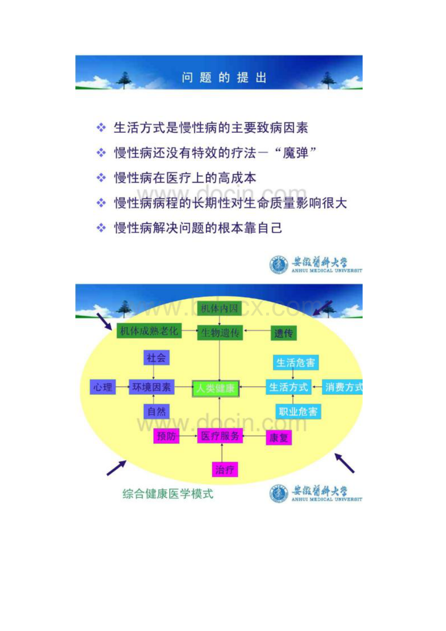 行为生活方式与健康课件.docx_第3页