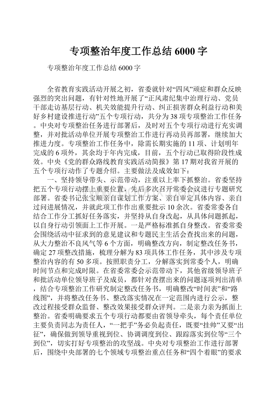 专项整治年度工作总结6000字.docx