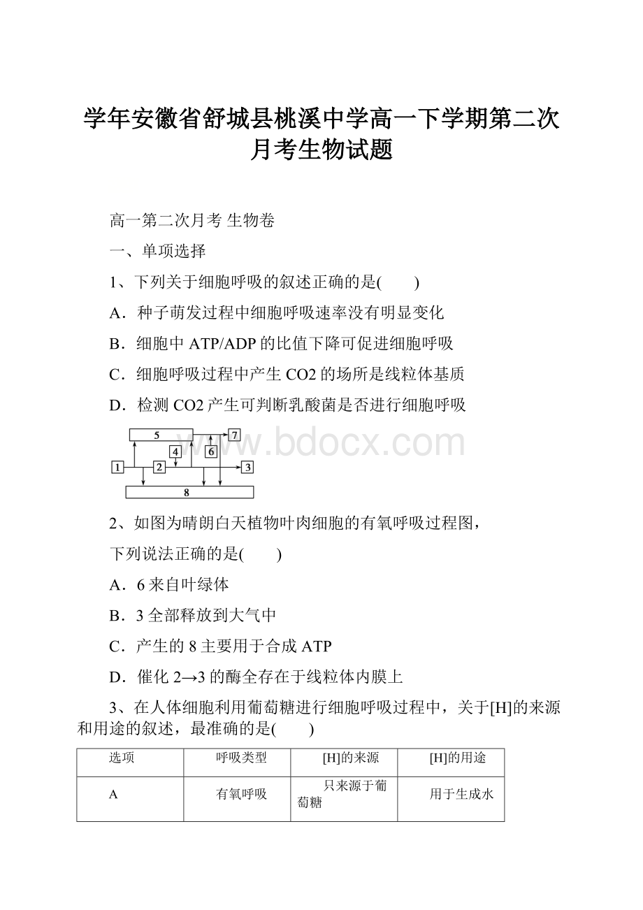 学年安徽省舒城县桃溪中学高一下学期第二次月考生物试题.docx