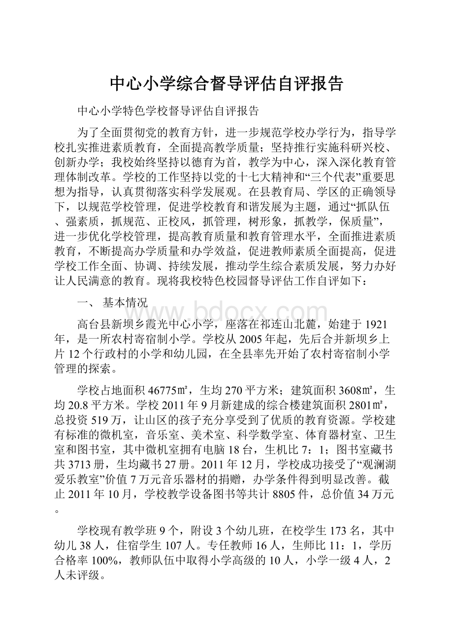 中心小学综合督导评估自评报告.docx