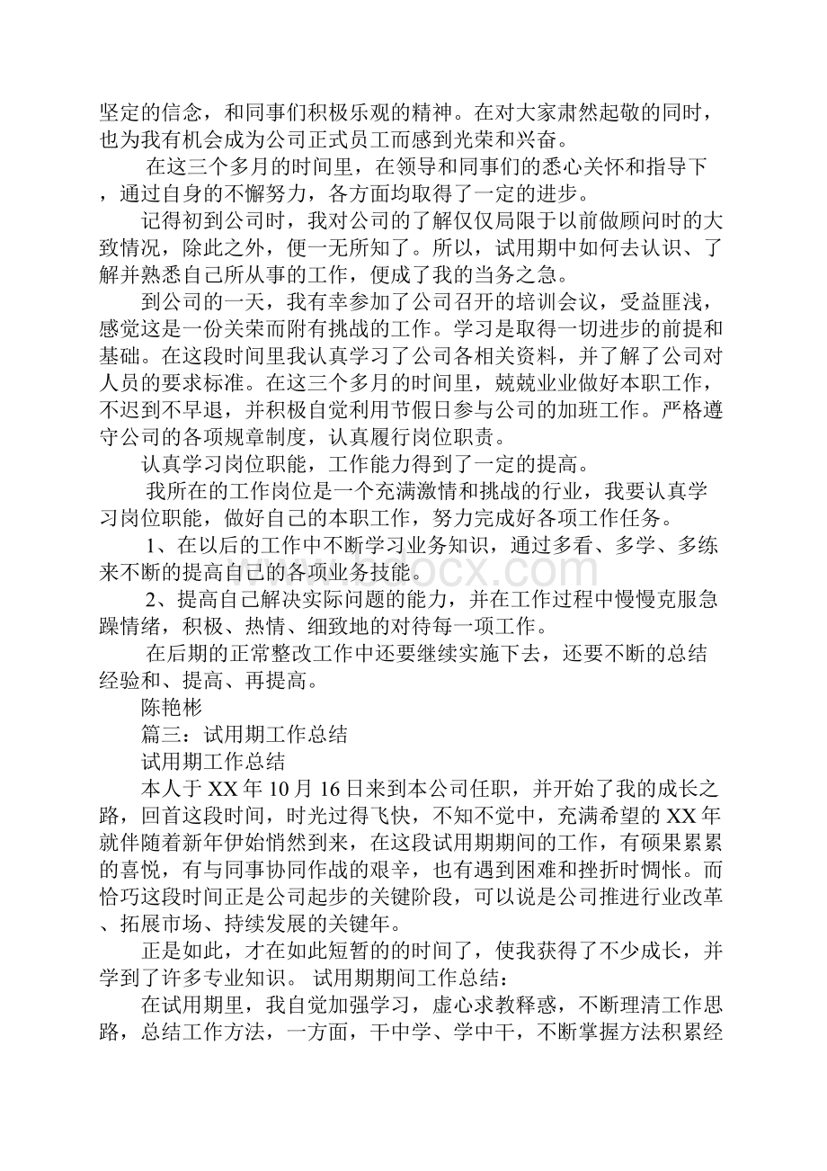 计试用期工作总结.docx_第2页