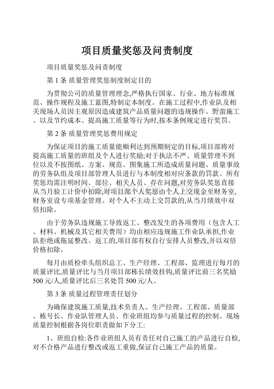 项目质量奖惩及问责制度.docx