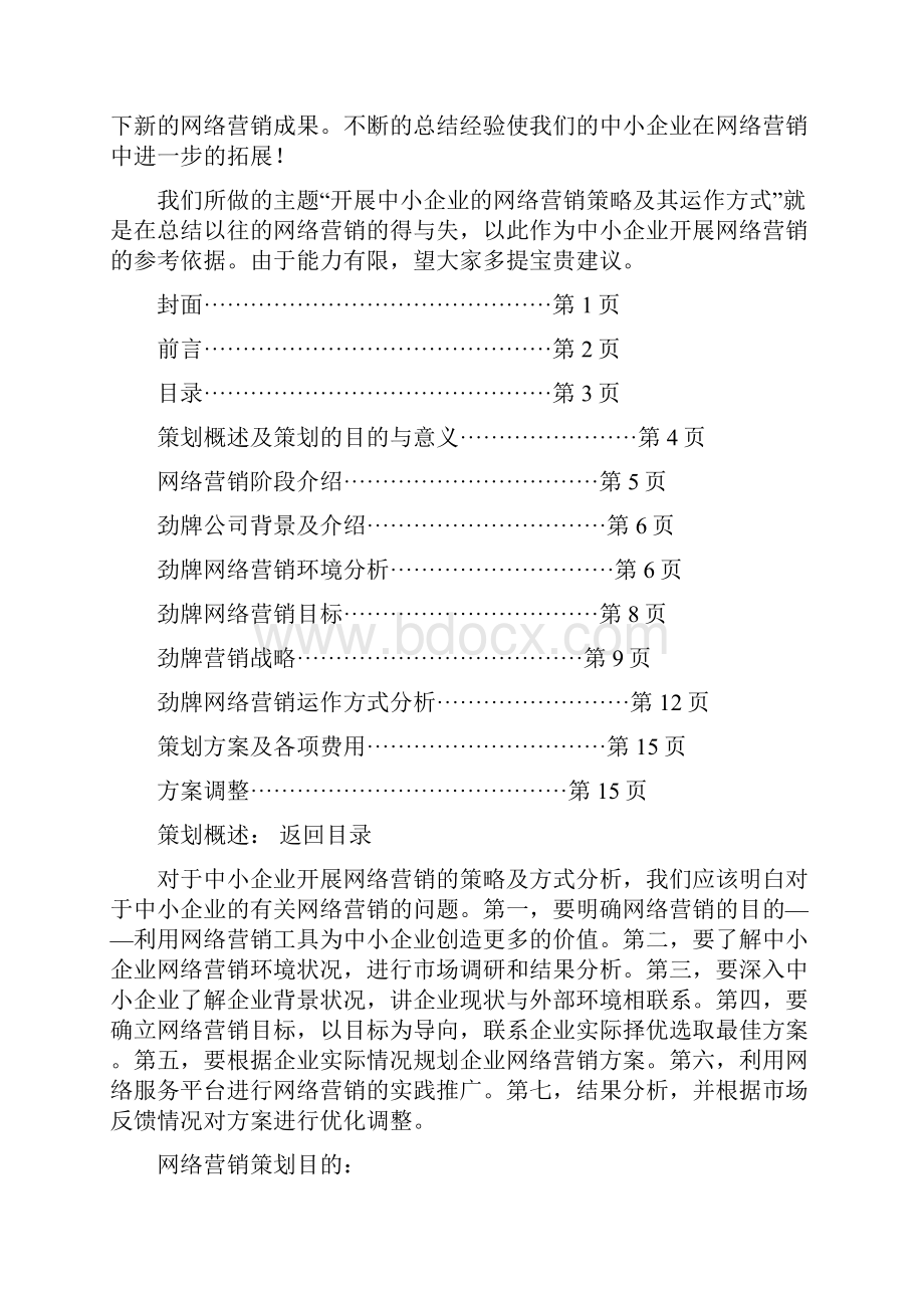 中小企业网络营销策划书.docx_第2页