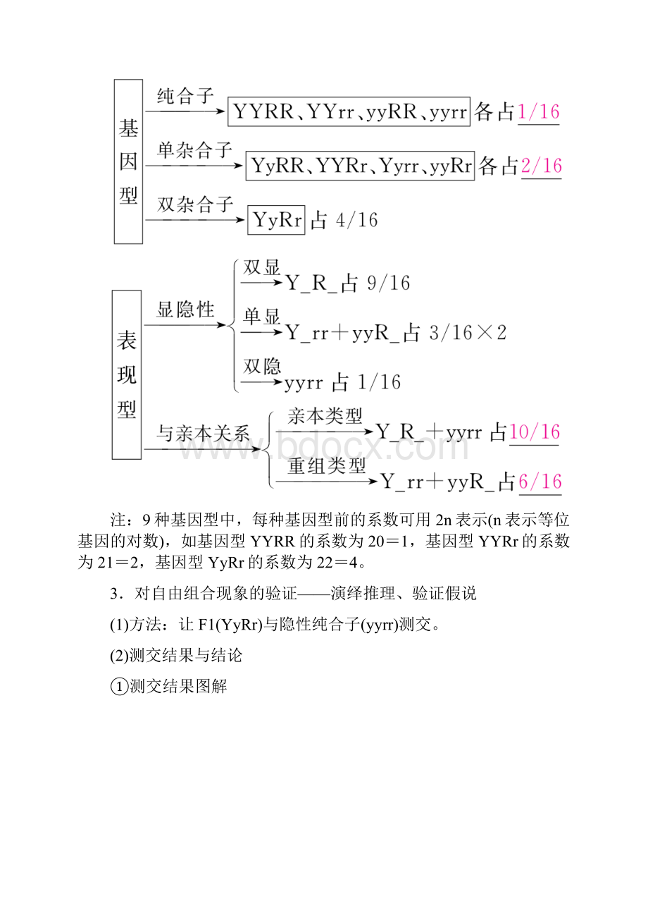 全国版19版高考生物一轮复习第16讲基因的自由组合定律培优学案.docx_第3页