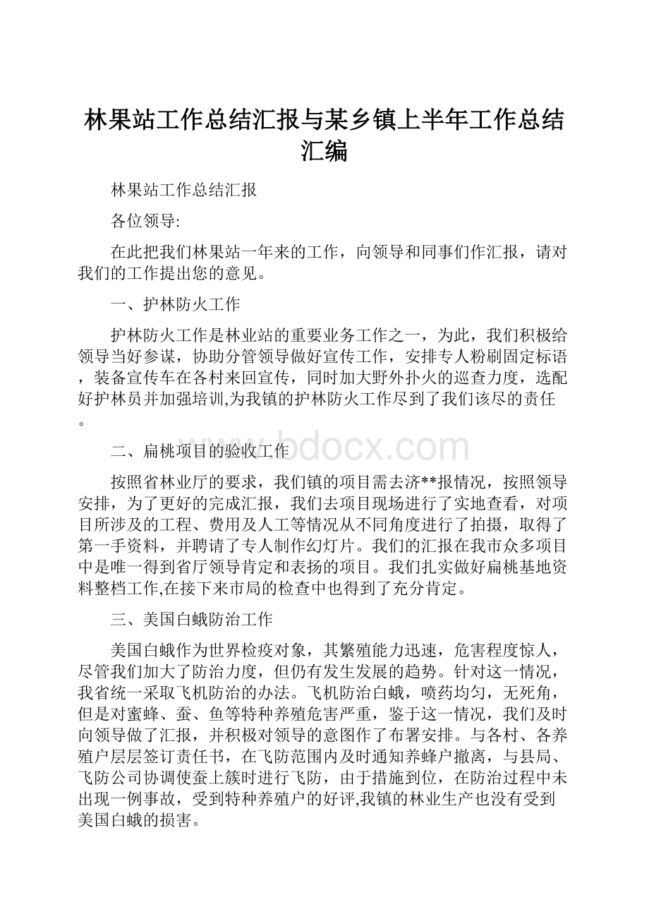 林果站工作总结汇报与某乡镇上半年工作总结汇编.docx