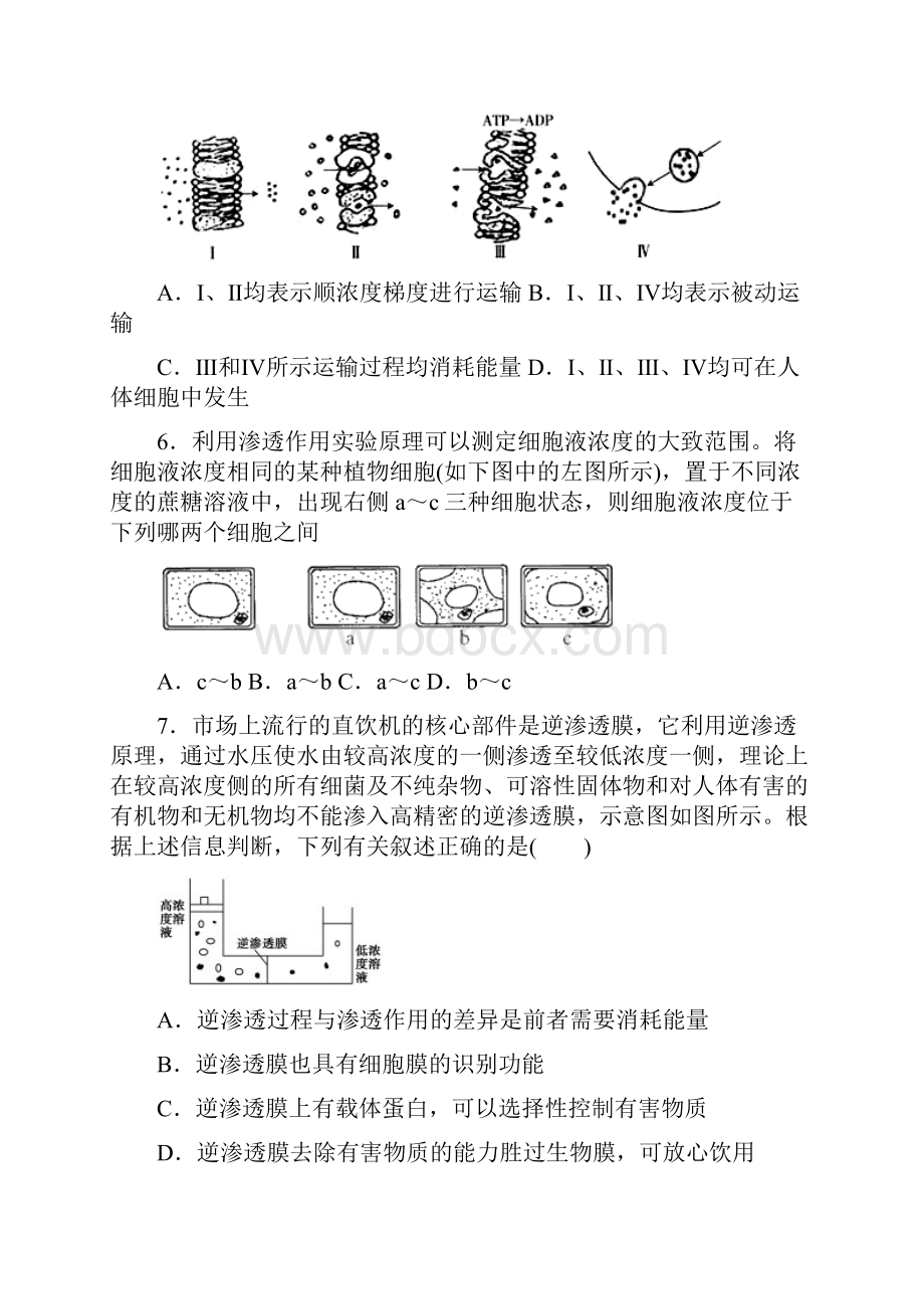 湖南冷水江市第一中学高中生物必修一细胞的物质输入和输出测试题模拟题含答案.docx_第3页