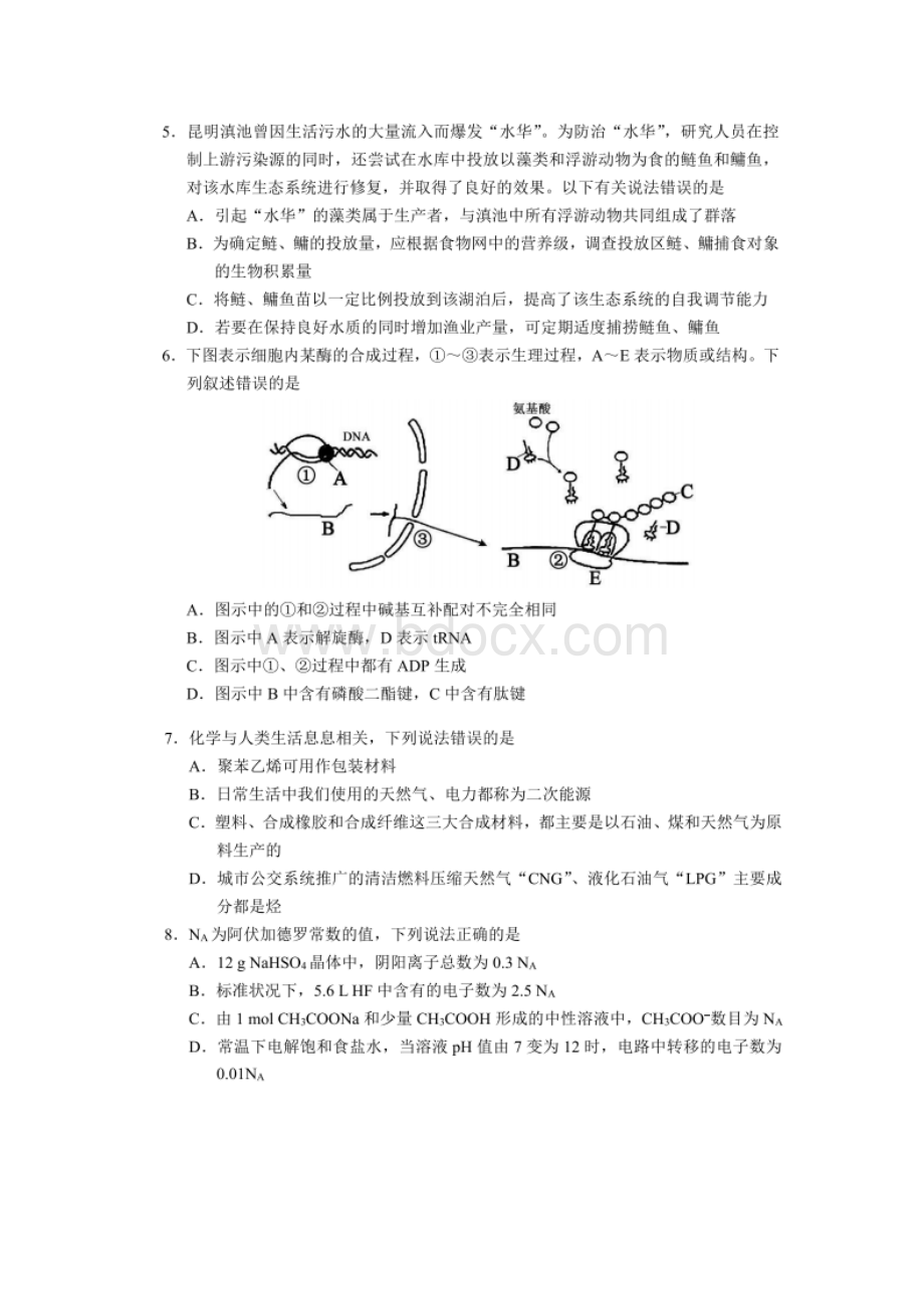 四川省蓉城名校联盟届高三第二次联考 理科综合图片版.docx_第2页