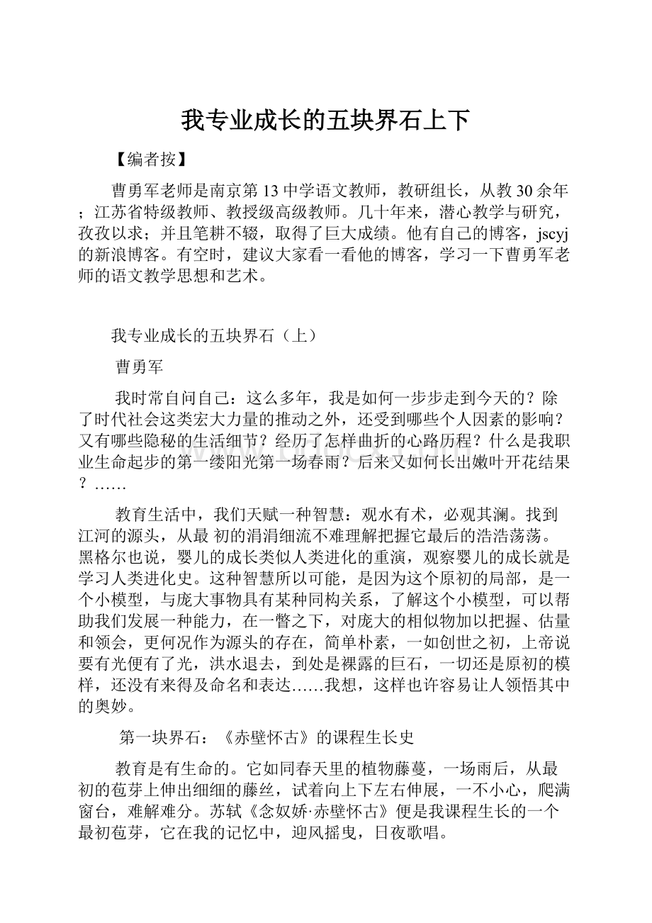 我专业成长的五块界石上下.docx_第1页