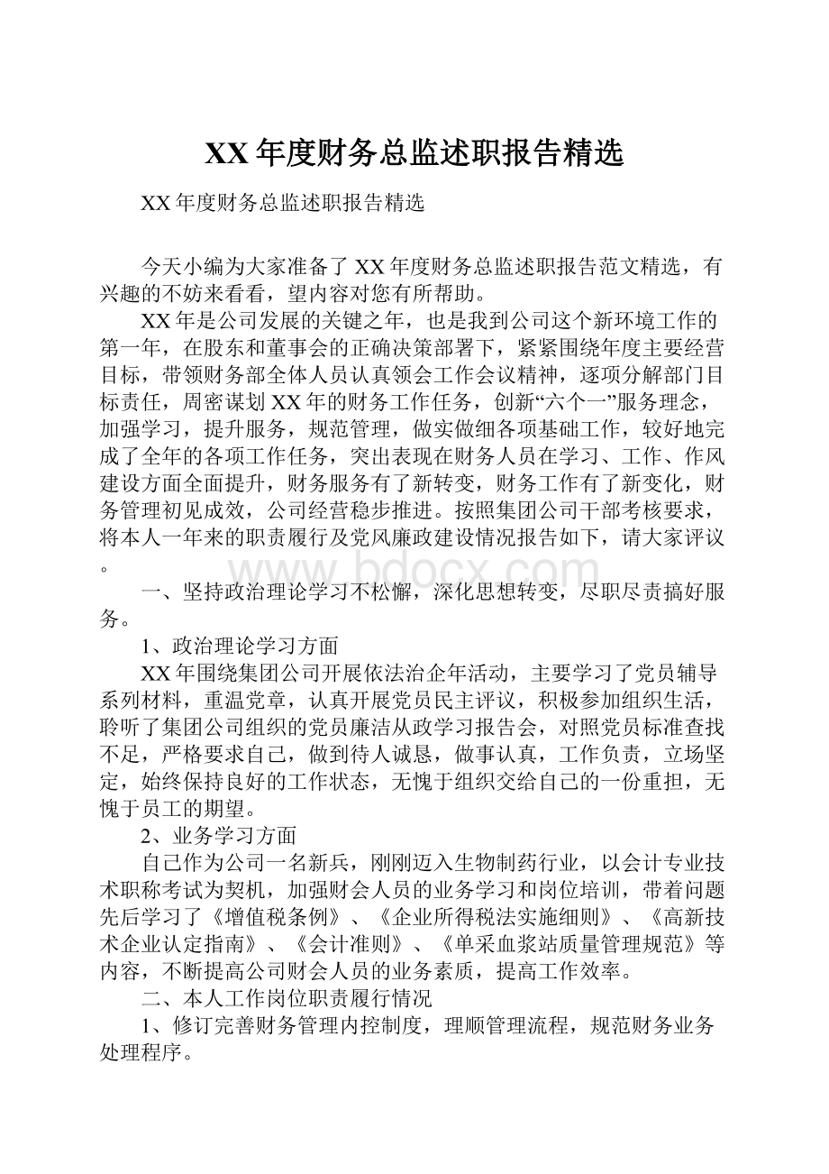 XX年度财务总监述职报告精选.docx_第1页