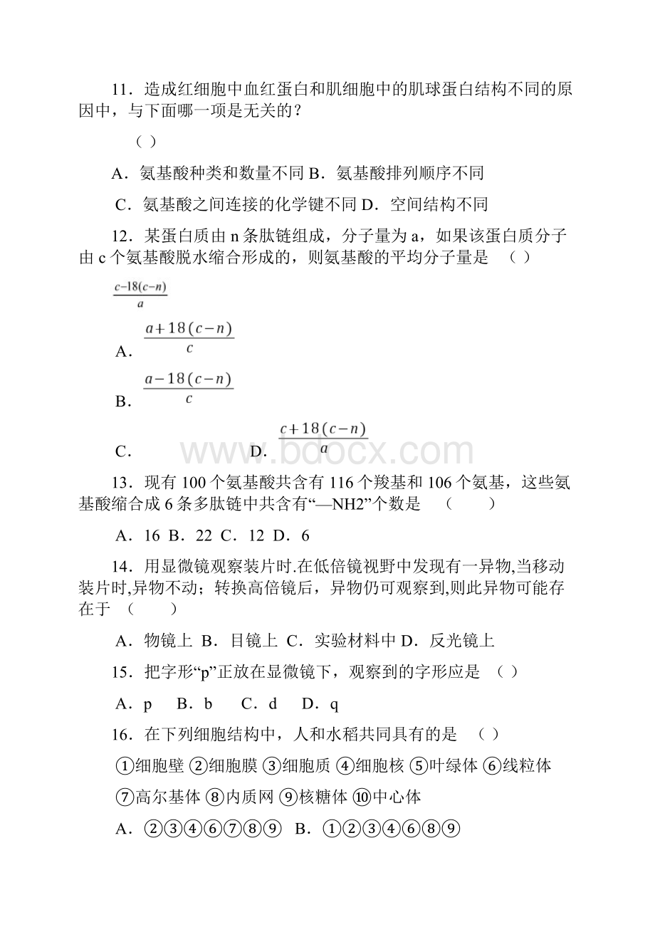 高二上学期期中考试生物试题.docx_第3页