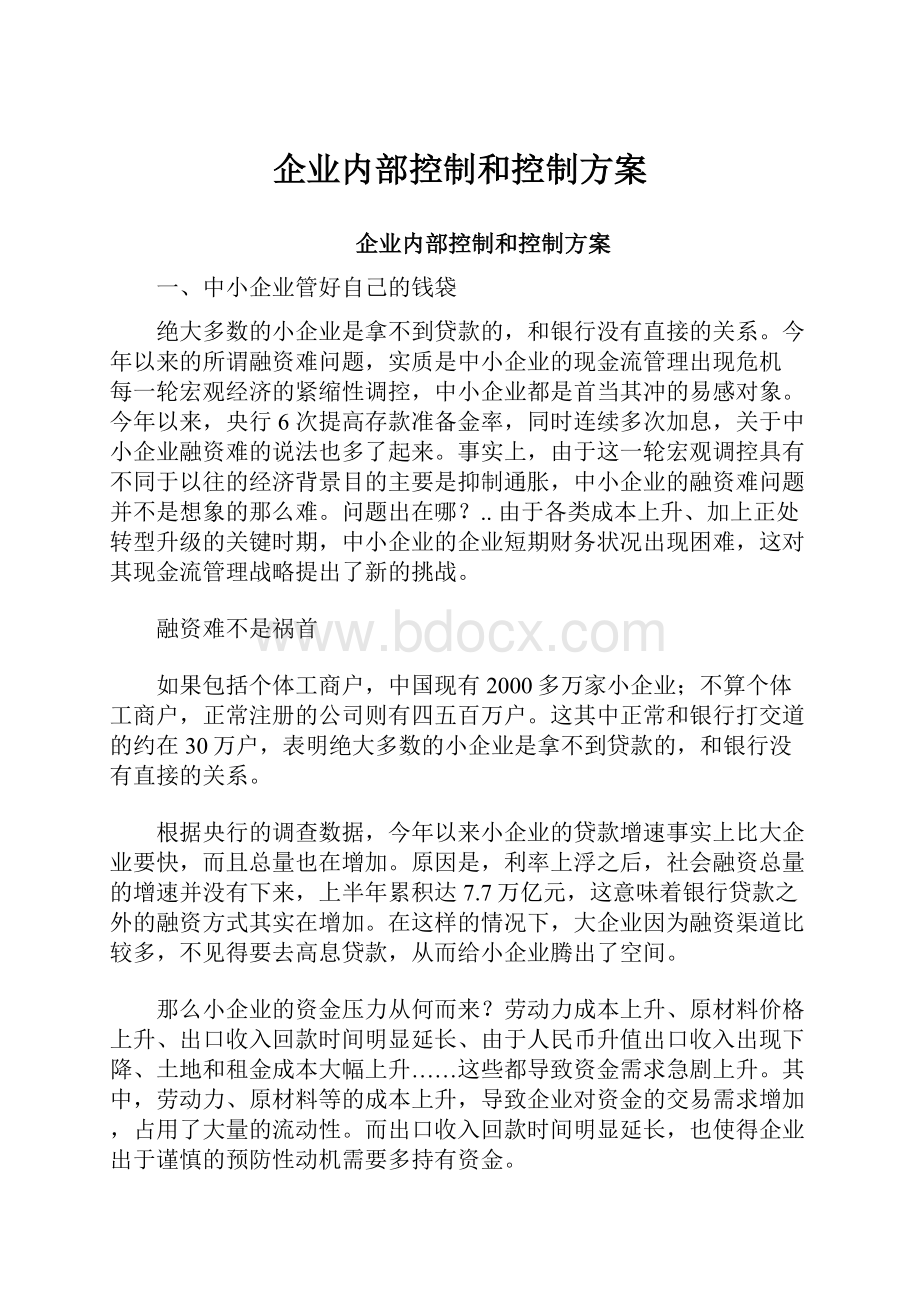 企业内部控制和控制方案.docx