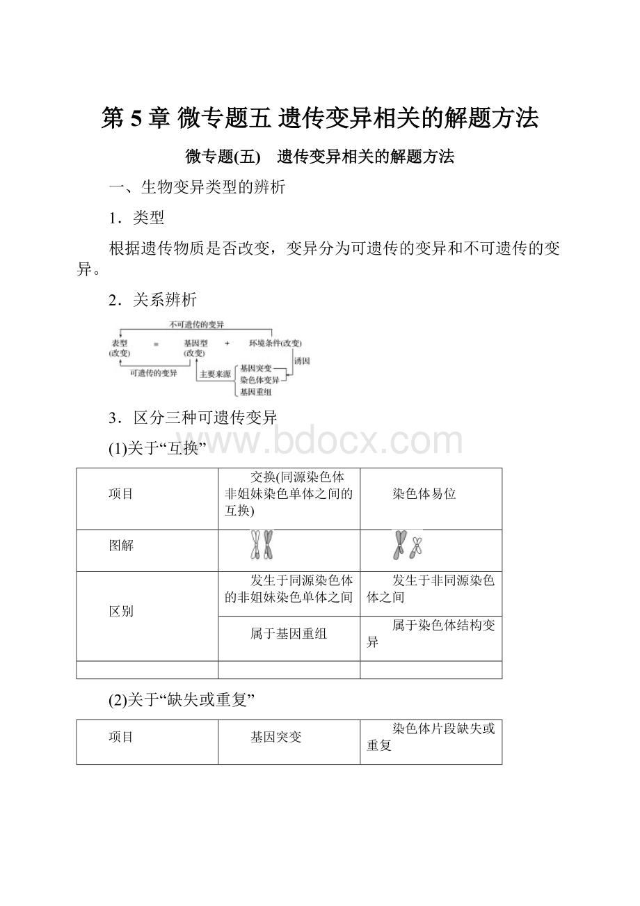 第5章 微专题五 遗传变异相关的解题方法.docx_第1页