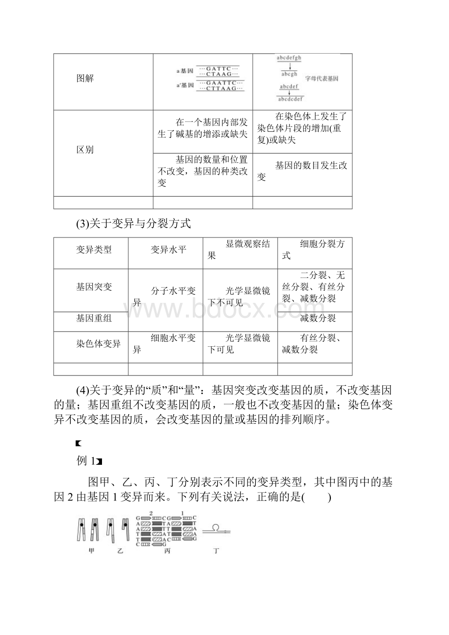 第5章 微专题五 遗传变异相关的解题方法.docx_第2页