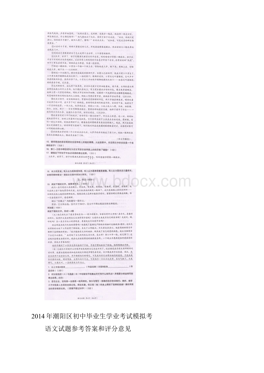 广东省汕头市潮阳区中考语文模拟试题.docx_第3页