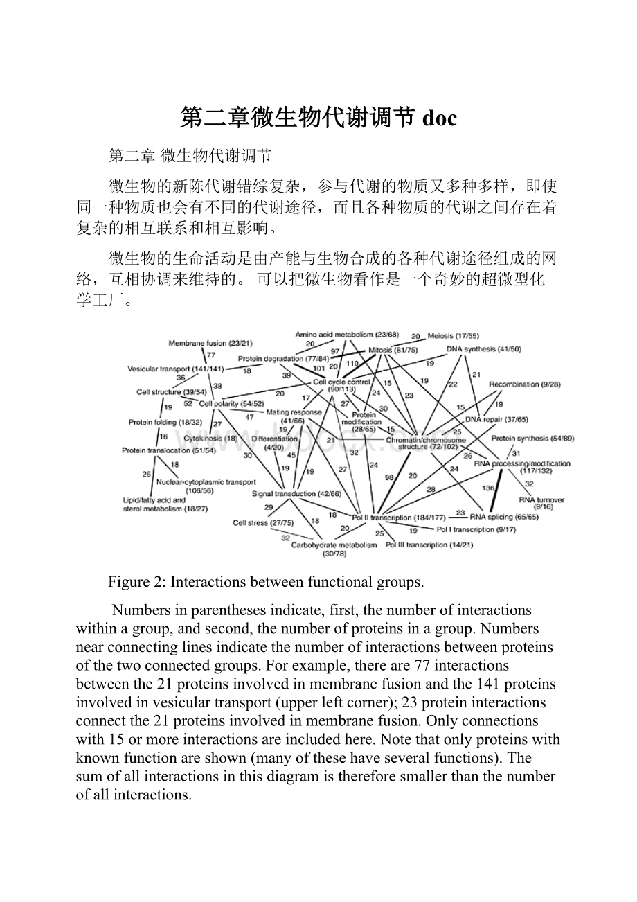 第二章微生物代谢调节doc.docx_第1页