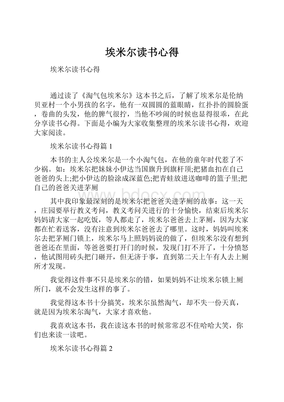 埃米尔读书心得.docx_第1页