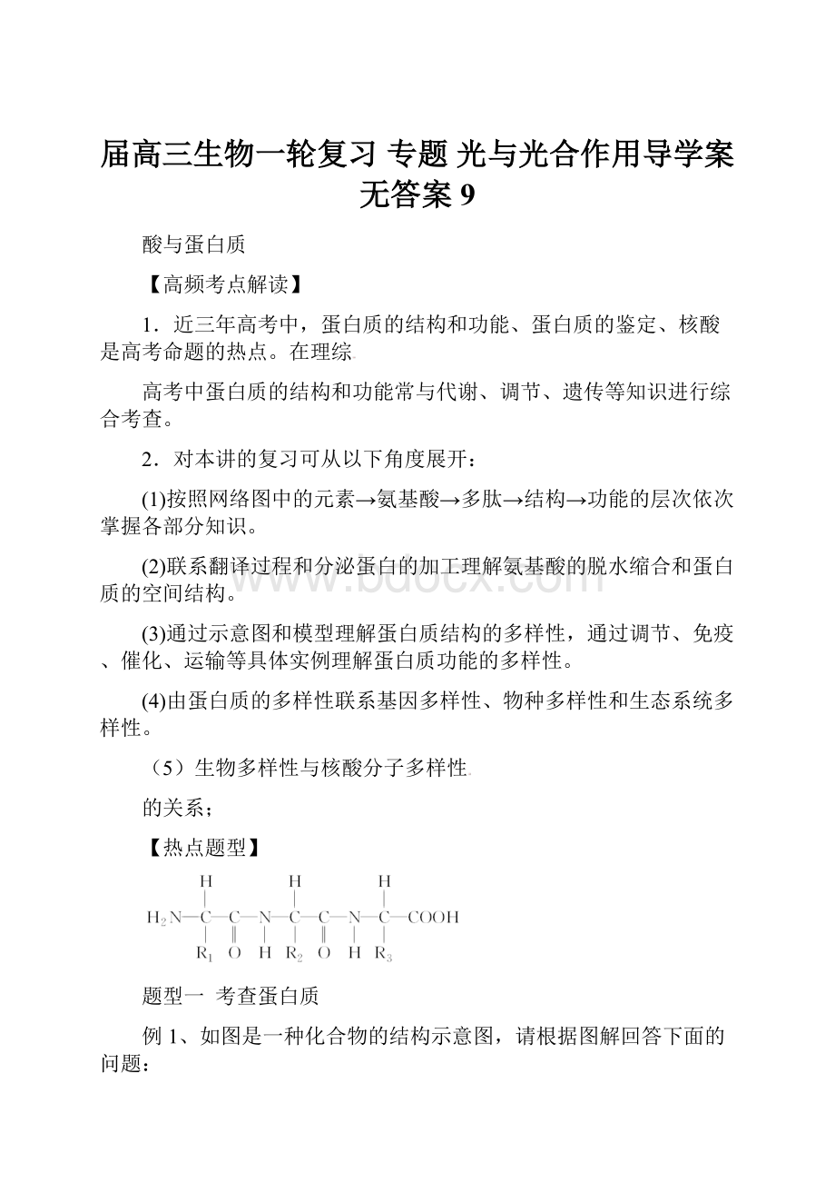 届高三生物一轮复习 专题 光与光合作用导学案无答案 9.docx_第1页