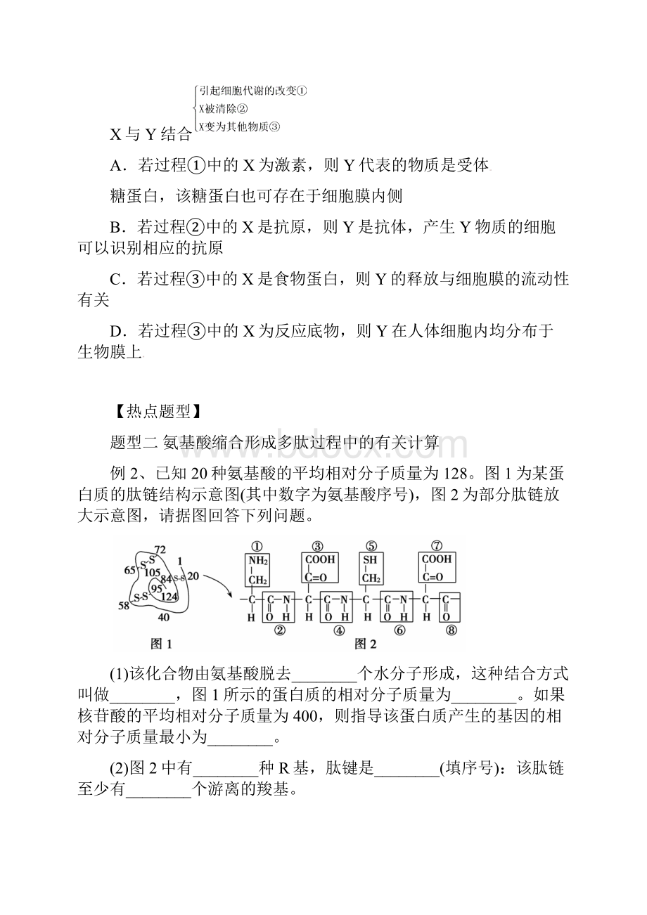 届高三生物一轮复习 专题 光与光合作用导学案无答案 9.docx_第3页