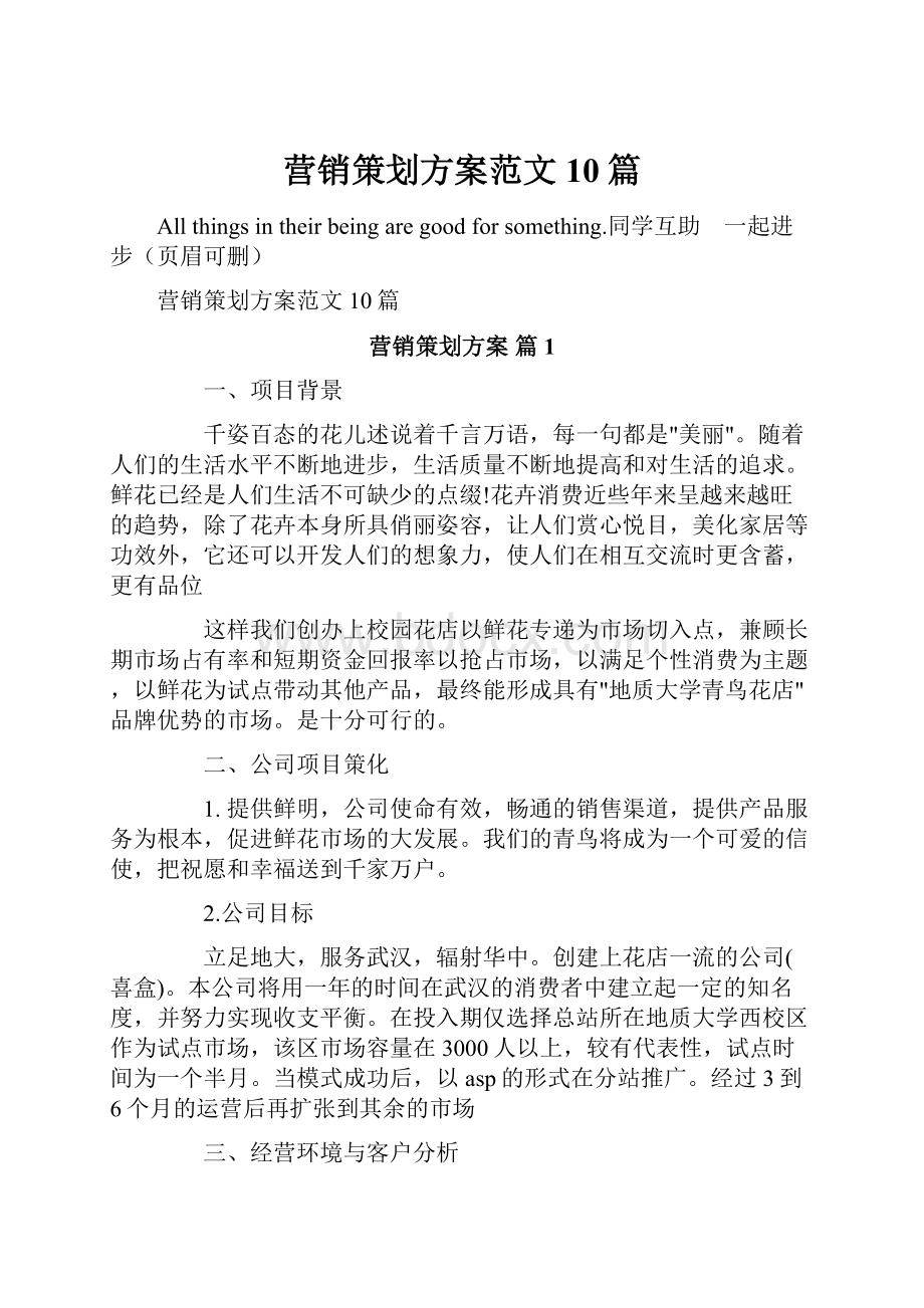 营销策划方案范文10篇.docx