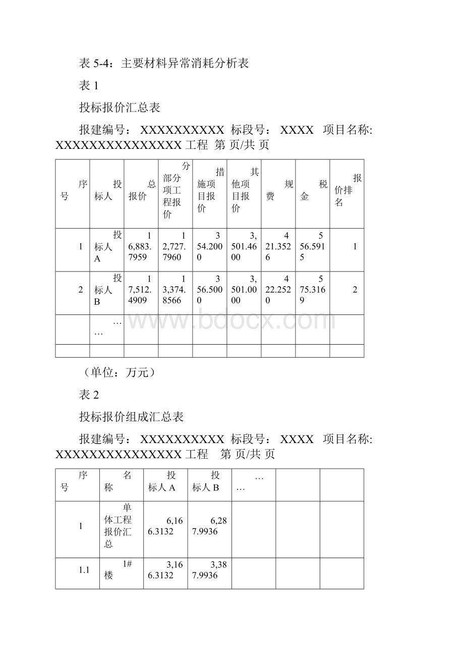 商务标基本信息及问题分析清单.docx_第2页