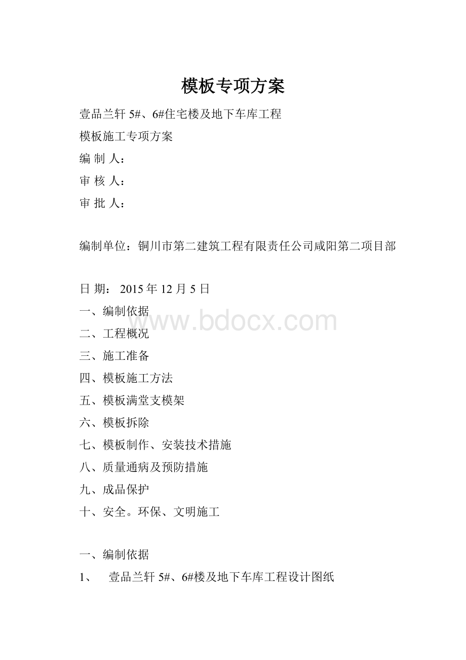 模板专项方案.docx