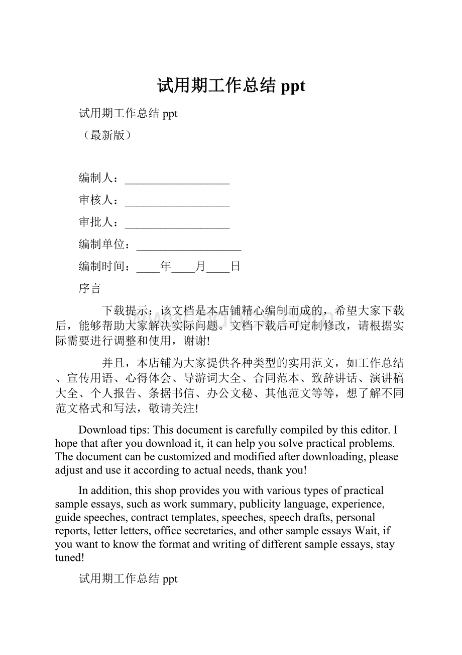 试用期工作总结ppt.docx_第1页