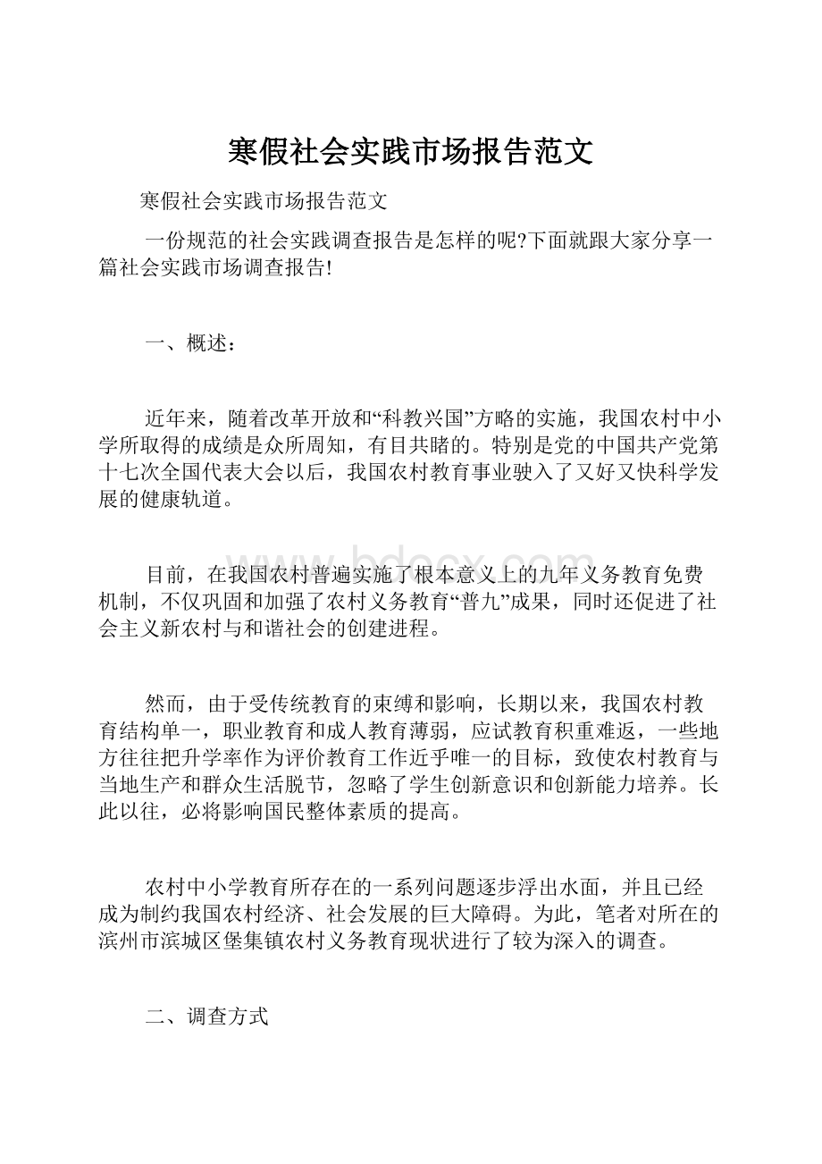 寒假社会实践市场报告范文.docx