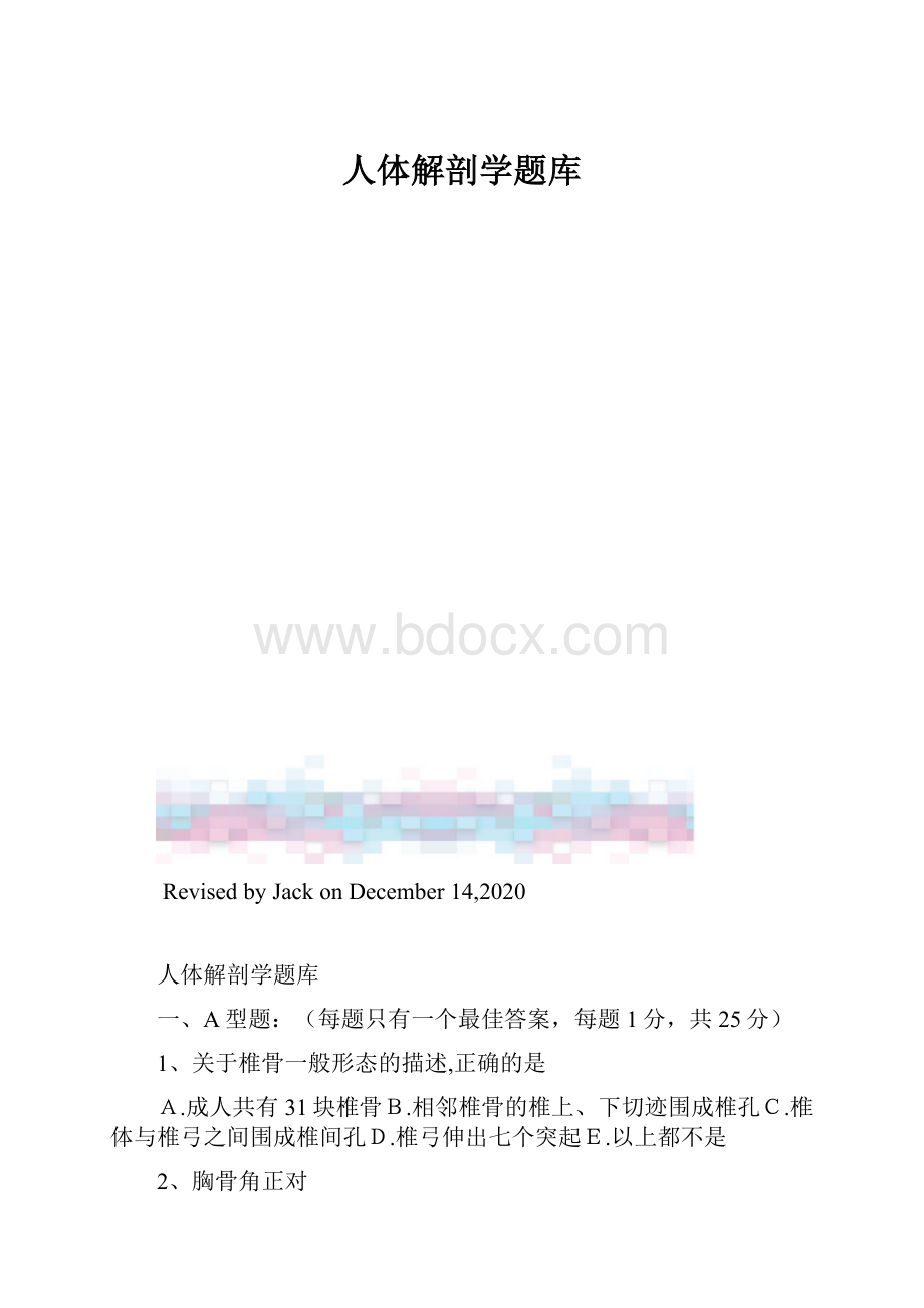 人体解剖学题库.docx