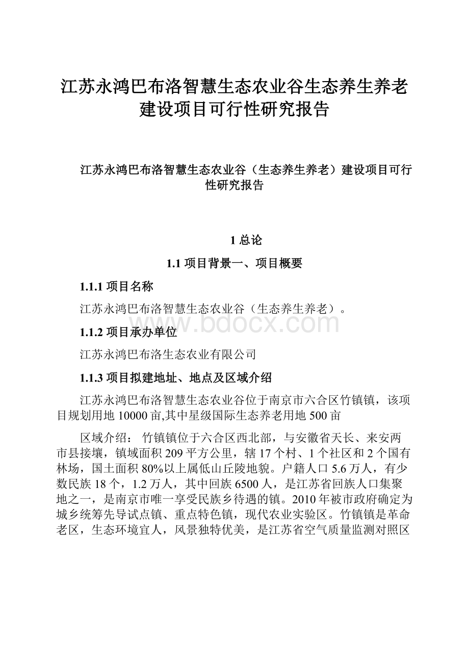 江苏永鸿巴布洛智慧生态农业谷生态养生养老建设项目可行性研究报告.docx_第1页