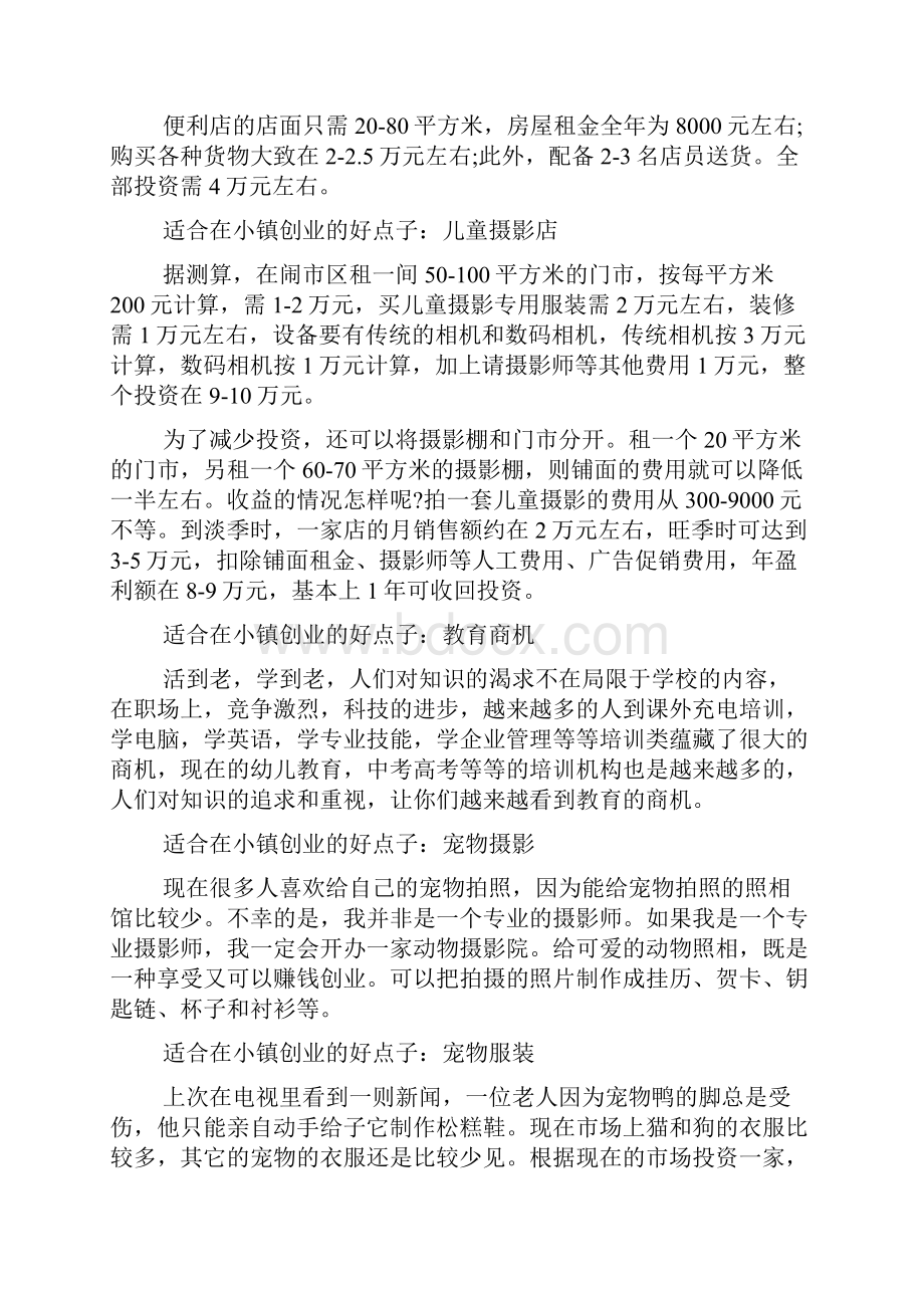 适合在小镇创业的好点子有哪些doc.docx_第2页