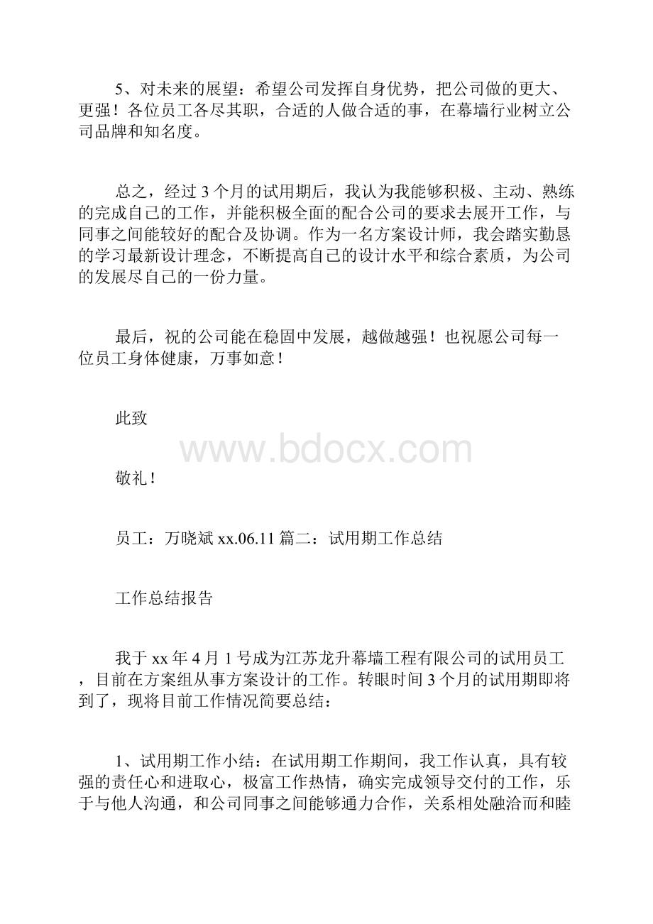 设计师试用期总结.docx_第2页