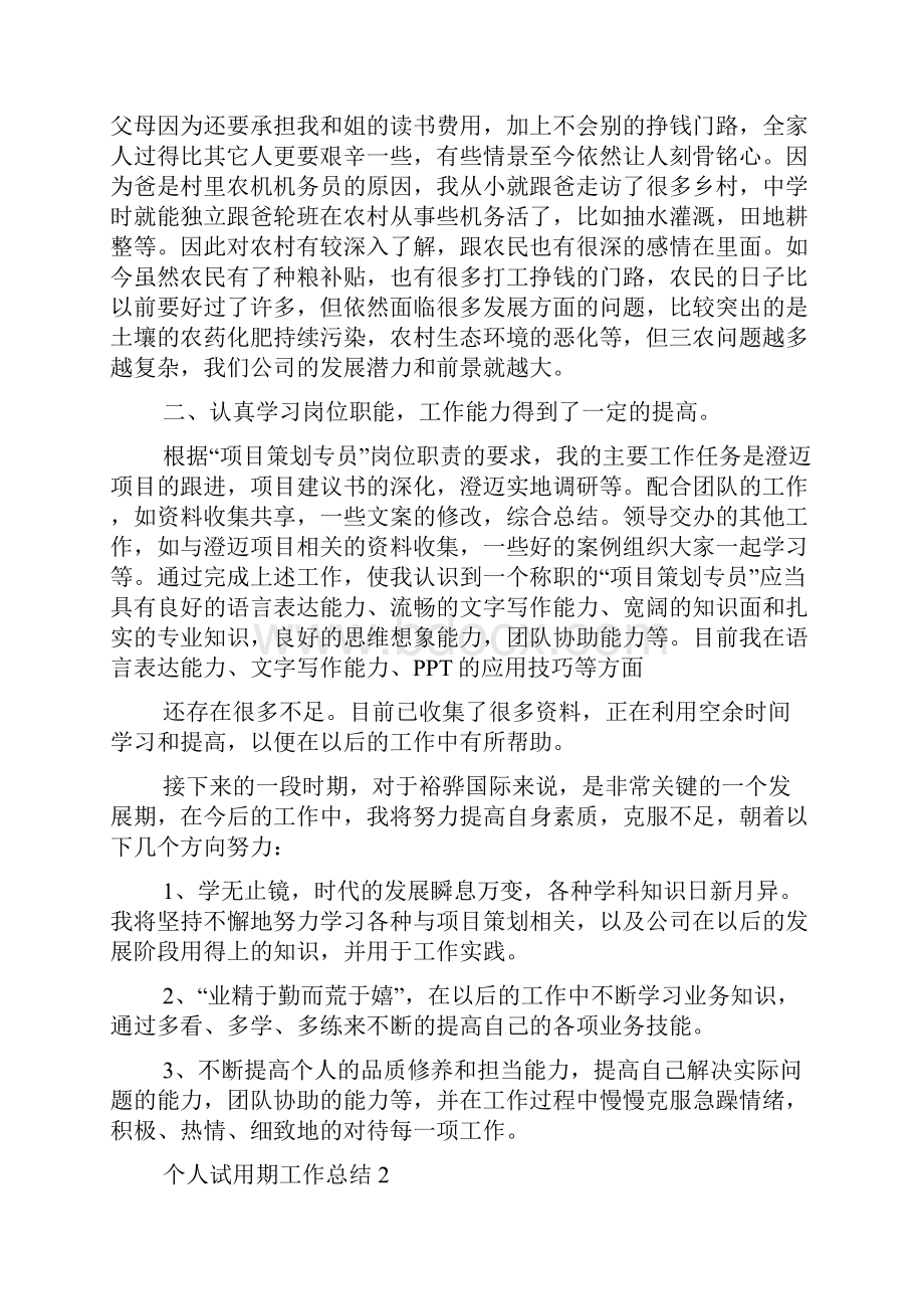 个人试用期工作总结.docx_第2页