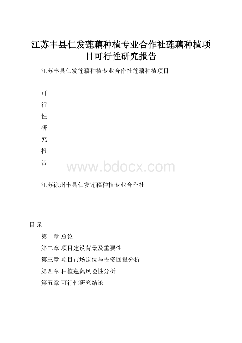 江苏丰县仁发莲藕种植专业合作社莲藕种植项目可行性研究报告.docx_第1页