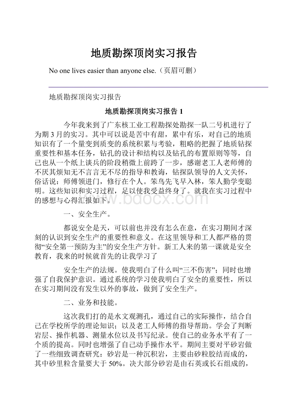 地质勘探顶岗实习报告.docx