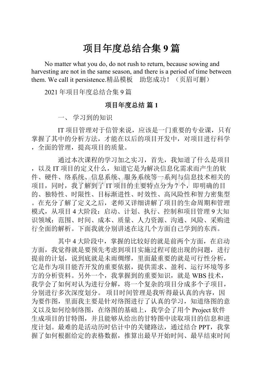 项目年度总结合集9篇.docx