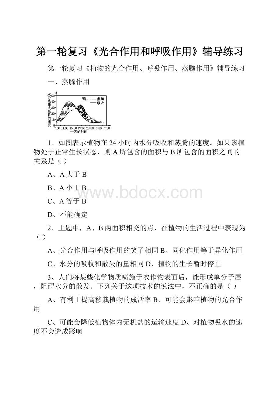 第一轮复习《光合作用和呼吸作用》辅导练习.docx_第1页