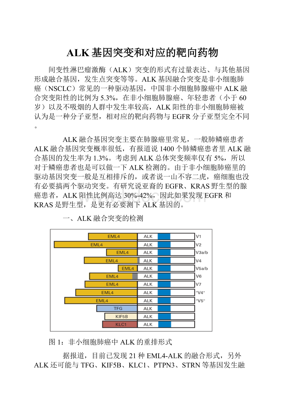 ALK基因突变和对应的靶向药物.docx