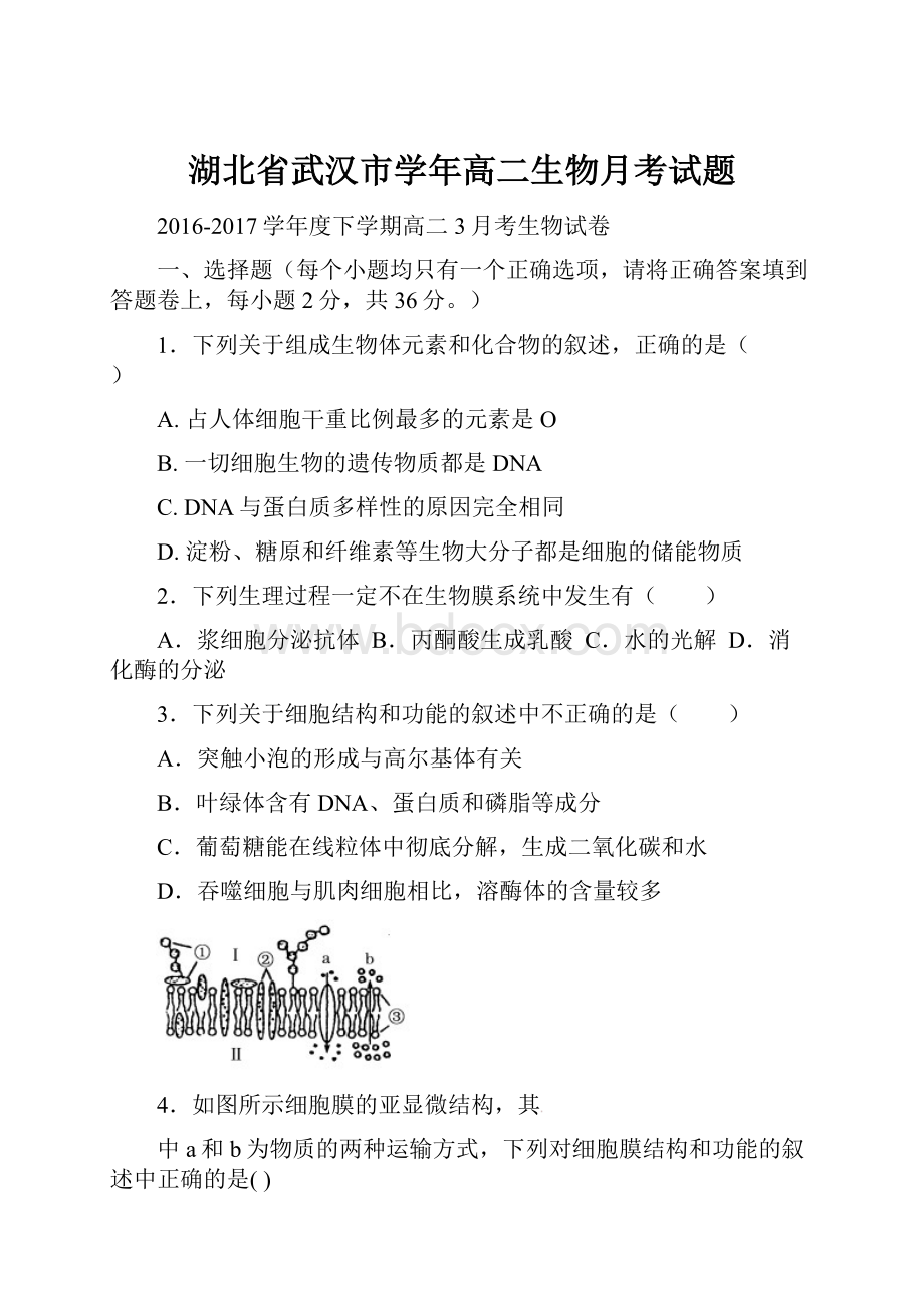 湖北省武汉市学年高二生物月考试题.docx_第1页