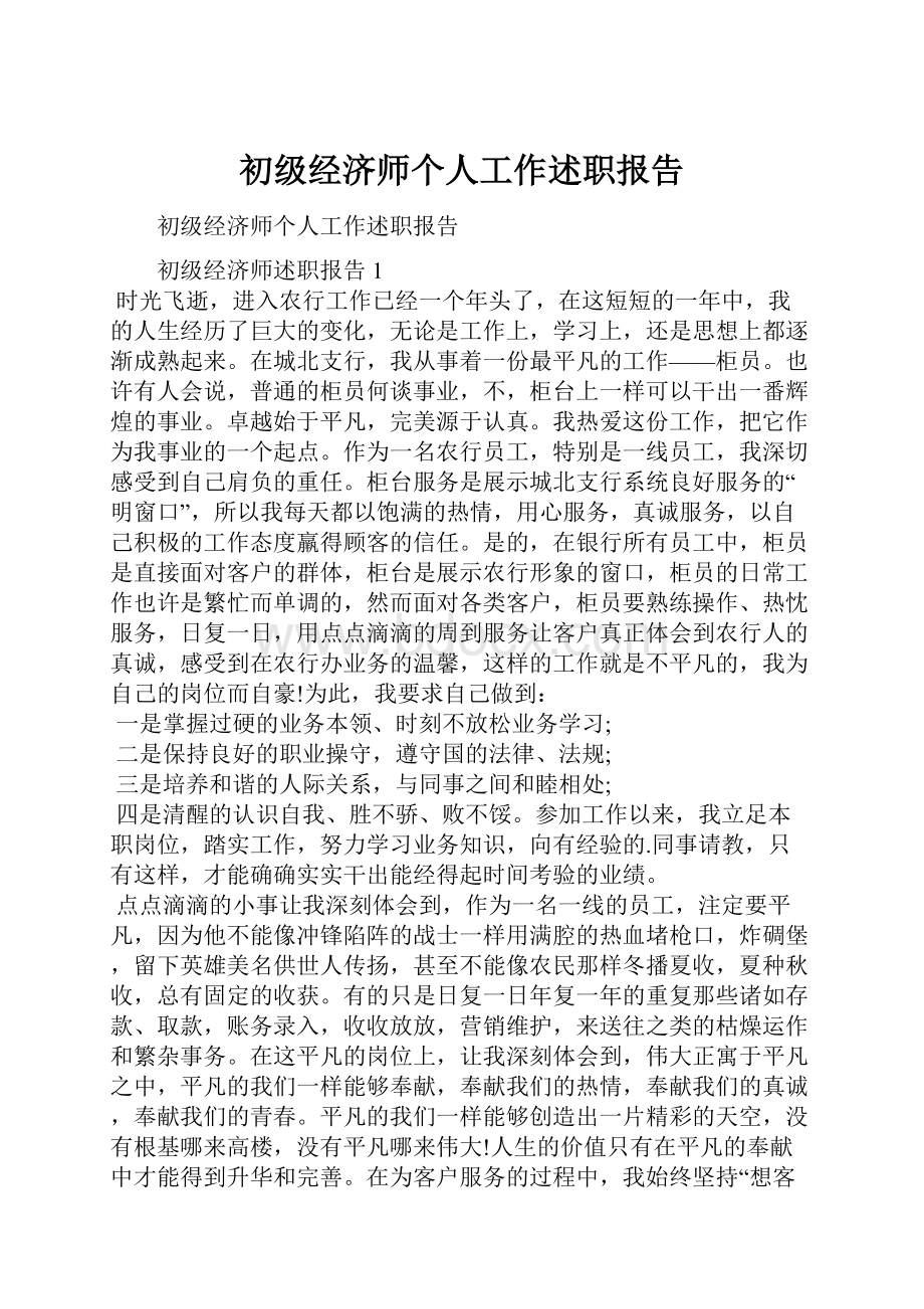 初级经济师个人工作述职报告.docx