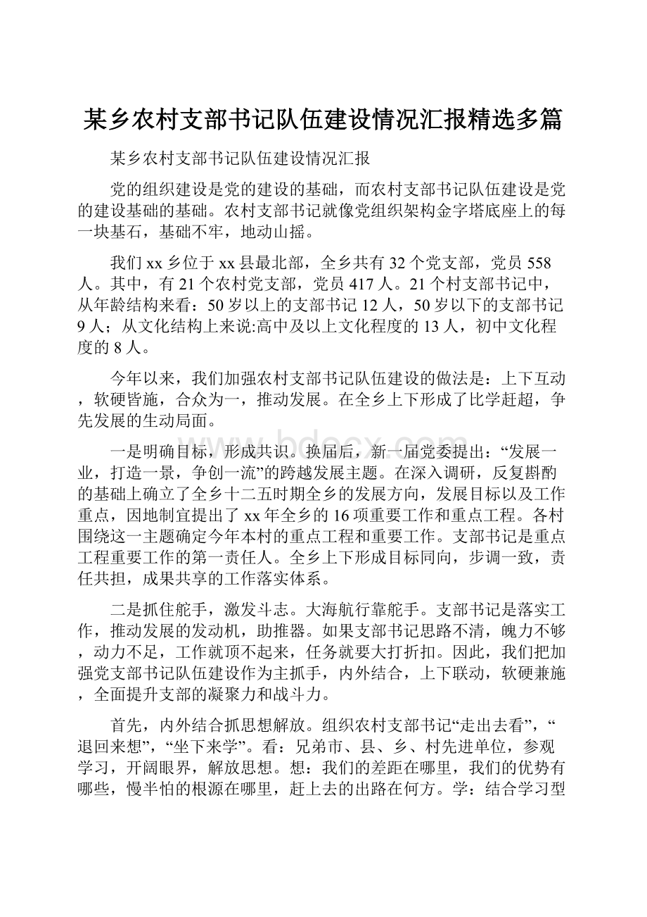 某乡农村支部书记队伍建设情况汇报精选多篇.docx