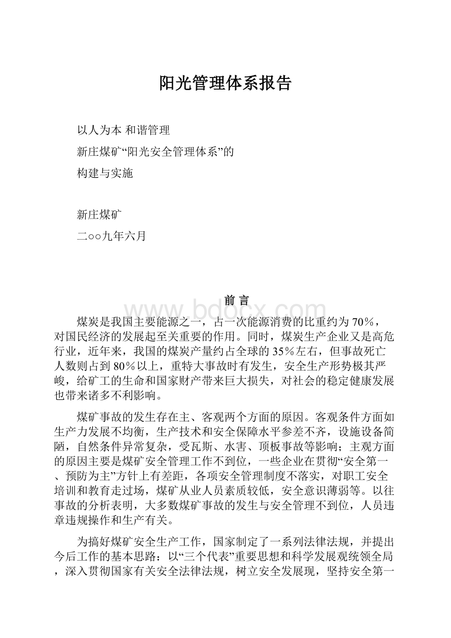 阳光管理体系报告.docx