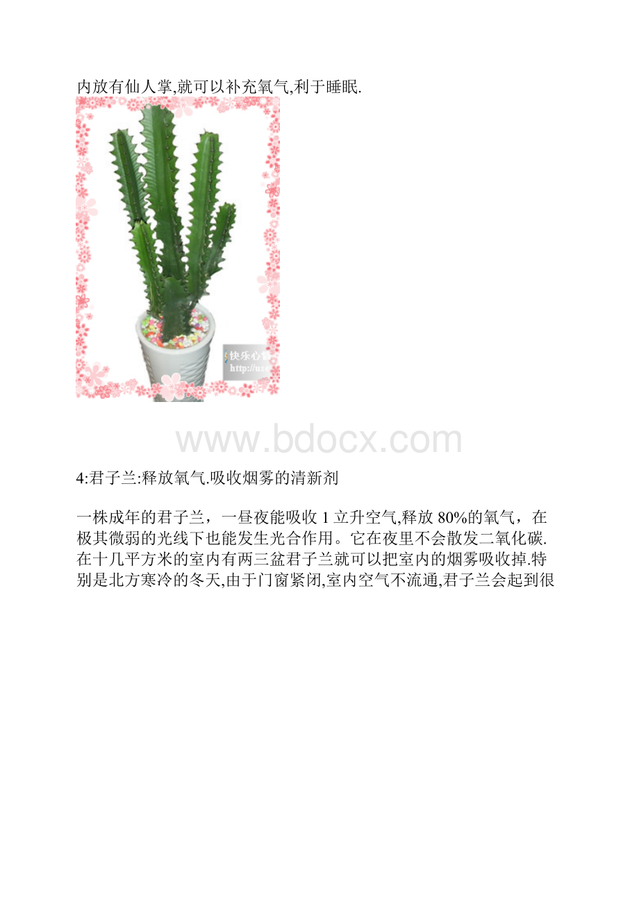 室内植物净化空气.docx_第3页