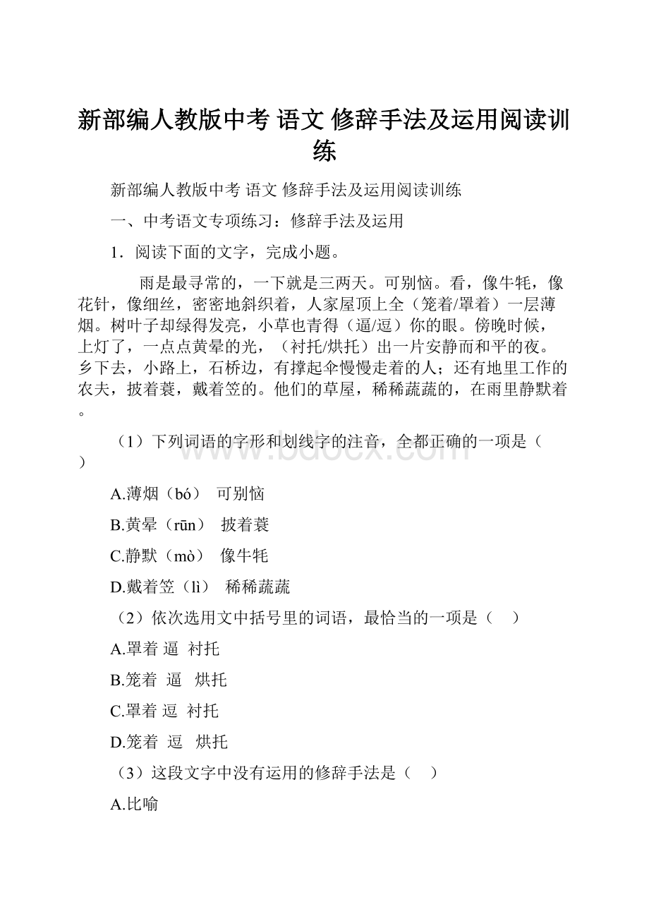 新部编人教版中考 语文 修辞手法及运用阅读训练.docx