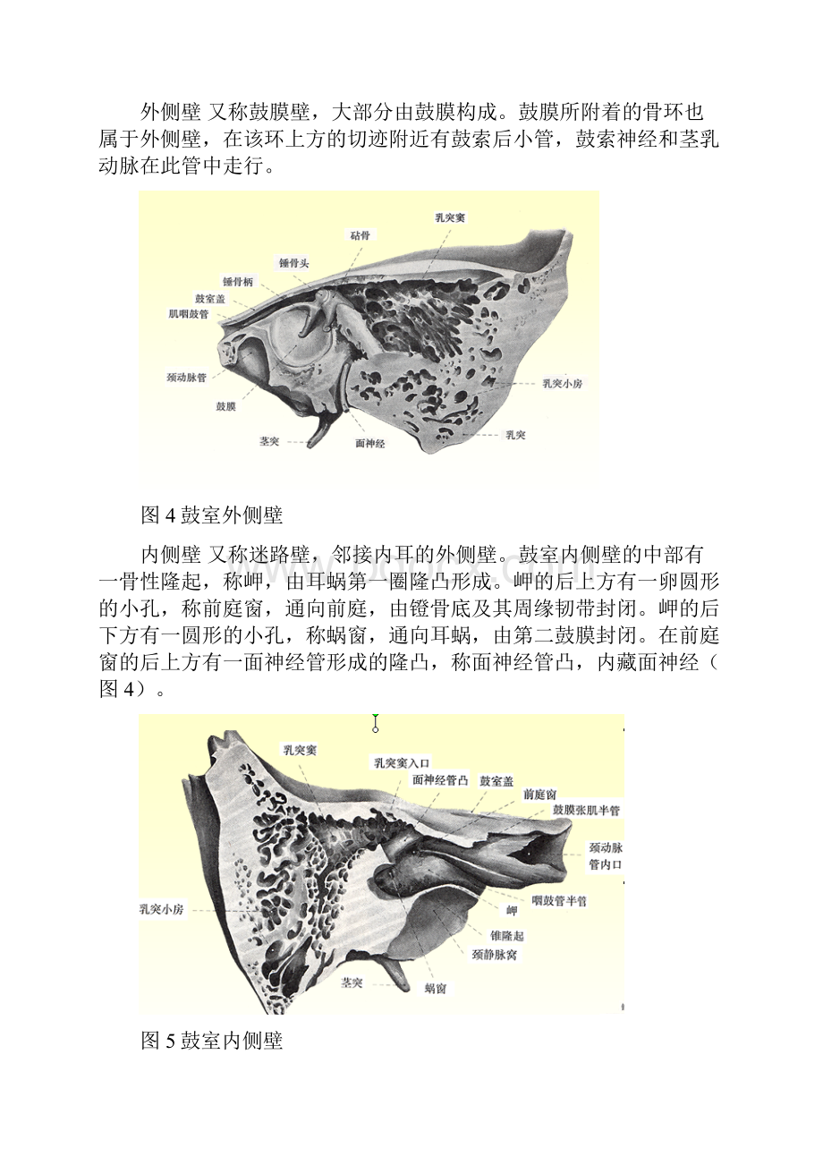 整理试论外耳门与内耳门是否相通.docx_第3页